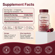 Brightroot Tart Cherry — Uric Acid Balance & Gout Support